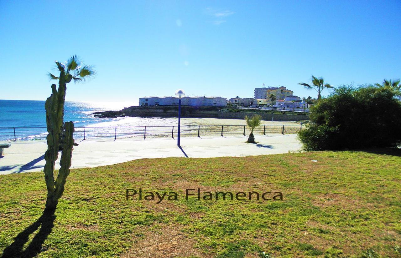Apartment With Large Roof Solarium Dehesa de Campoamor  ภายนอก รูปภาพ
