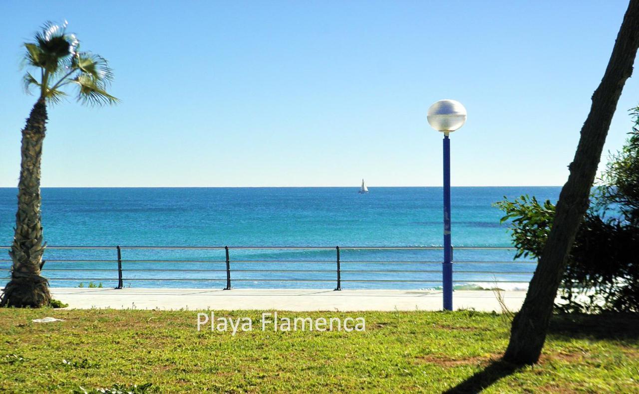Apartment With Large Roof Solarium Dehesa de Campoamor  ภายนอก รูปภาพ